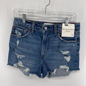 Abercrombie & Fitch Curve Love The Mom Short Size 29/8 NWT